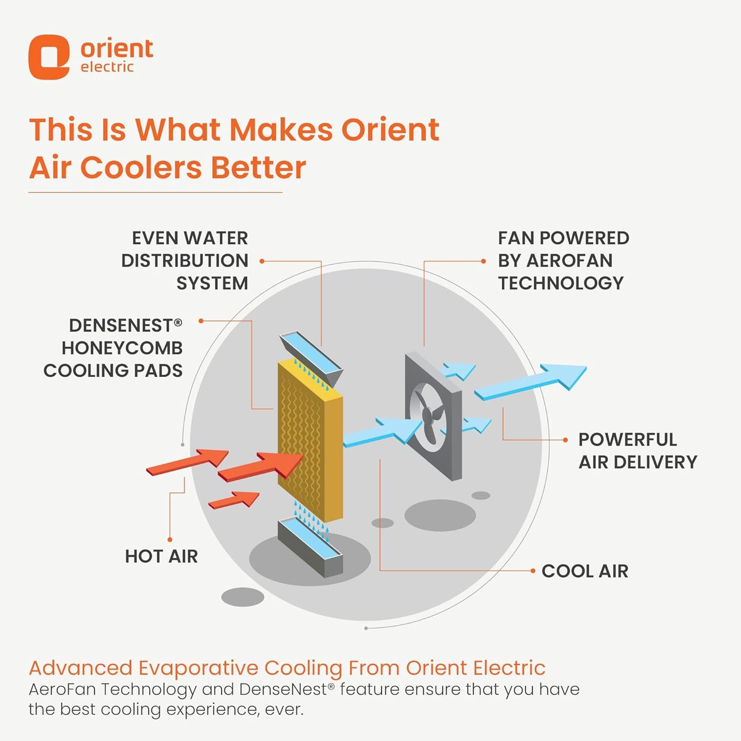 Orient Electric Aerocool 40L Personal Air Cooler White