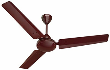Fans