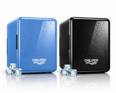 Portable Mini Fridge