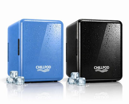 Portable Mini Fridge