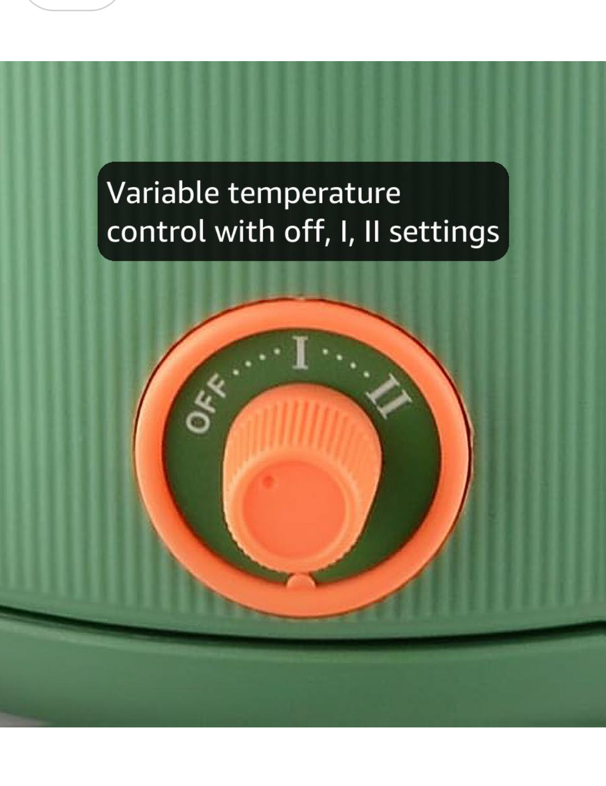 AGARO Regency Multipurpose Kettle With Steamer, 1.2L Inner Pot, Double Layered Body, Variable Temperature Settings, Wide Mouth, Boiling, Steaming, Tea, Coffee, Egg, Vegetable Boiling, 600W, Sea Green