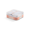 VAYA TYDBYT Stainless Steel Tiffin Box for Men, Kids Girls,1 Large & 2 Small Compartments, Bento Lunch Box, Smart Portions for Balanced Meals, Coral Crush