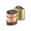 VAYA TYFFYN Lunch Box for Office for Men, Copper Finished Steel Lunch Box Without Bagmat,1000ml Vacuum Insulated Hot Lunch Box, Leakproof Hot Tiffin Box with 2 Containers,Gold