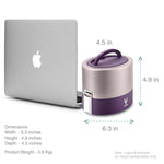 VAYA TYFFYN Lunch Box for Kids for School, Polished Stainless Steel Tiffin Box Without BagMat, 600ml Insulated Tiffin Box for Office for Men with 2 Containers, Hot Lunch Box for Boys, Purple