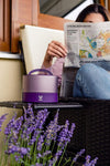 VAYA TYFFYN Lunch Box for Kids for School, Polished Stainless Steel Tiffin Box Without BagMat, 600ml Insulated Tiffin Box for Office for Men with 2 Containers, Hot Lunch Box for Boys, Purple