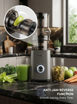 Skyline Premium Cold Press Slow Juicer 200W | 50 RPM Ultra Slow Juicer with 130mm Large Feeder, SS Filter, 700ml Juice Capacity | Model VTL-7799 | 1 Year Warranty