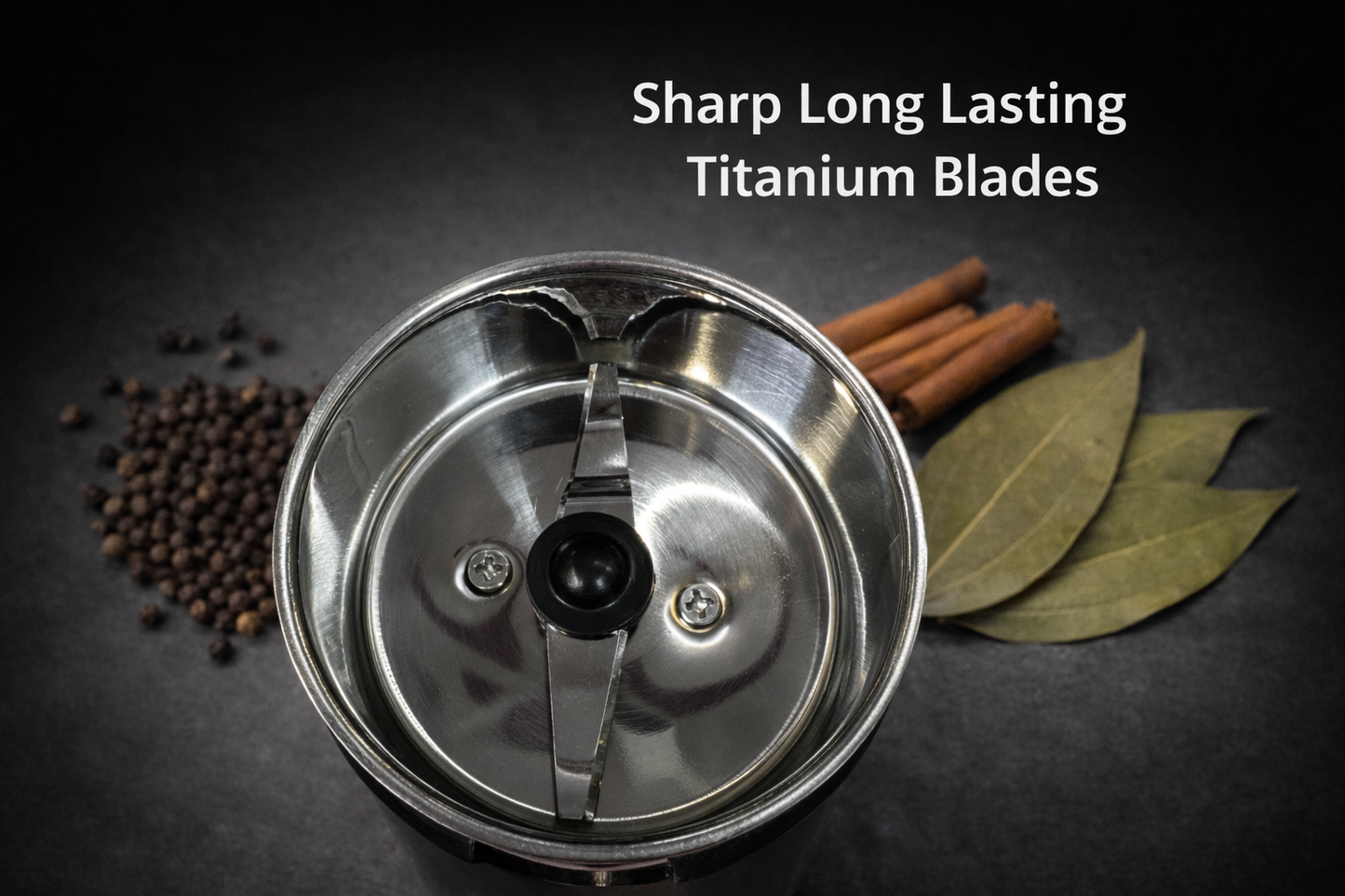 Lee Handy Electric Dry Grinder | Compact Coffee & Spice Grinder for Dry Masala, Beans & Herbs