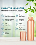 Borosil Eco Copper Bottle With Glass Set 1L Bottle With 250Ml X 2 Copper Tumbler